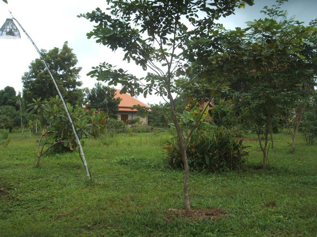 Green Plateau Lodge Banlung Exterior photo